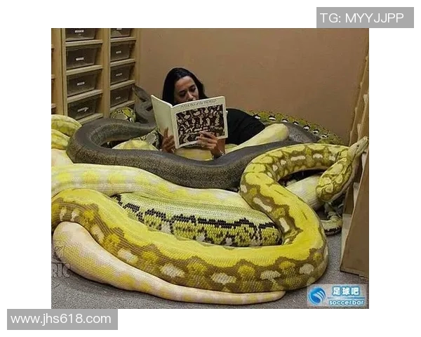 日本足球明星吹水事件背后的真相与影响分析