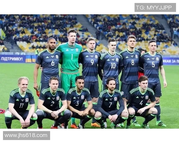 芬兰足球明星数量及其在国际赛场上的影响力分析