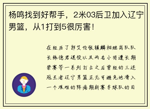 杨鸣找到好帮手，2米03后卫加入辽宁男篮，从1打到5很厉害！